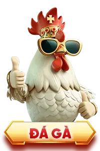 anyconv-com__da-ga